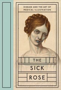 photo of the book the sick rose