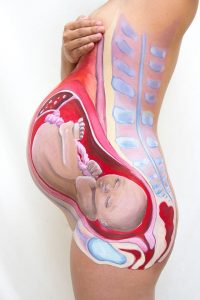 Picture of painted pregnant belly